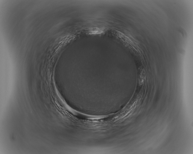 X0000113941441200909251230