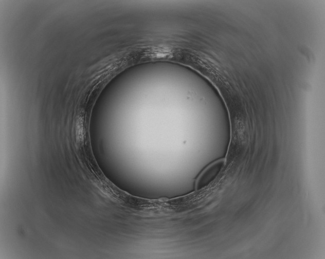 X0000113941442200909251230