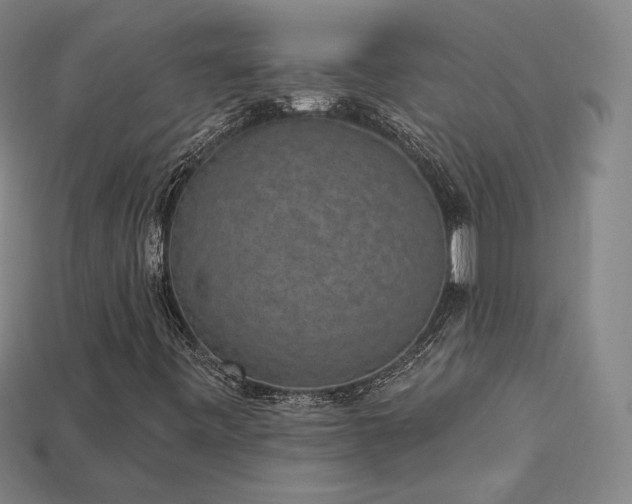X0000113941443200909251230