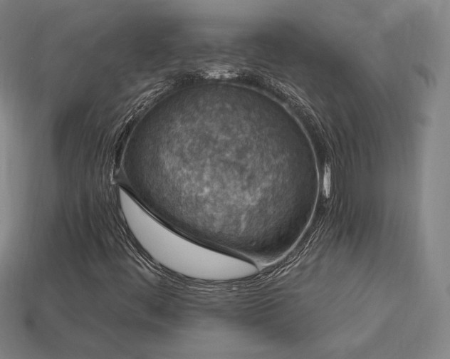 X0000113941444200909251230