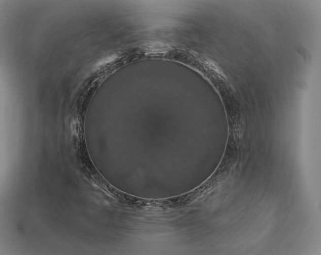 X0000113941445200909251230