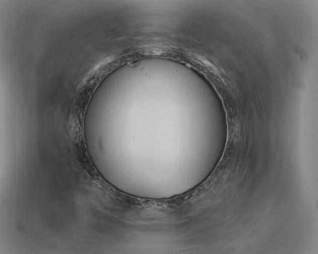 X0000113941446200909251230