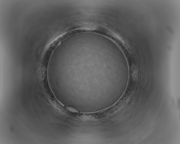 X0000113941448200909251230