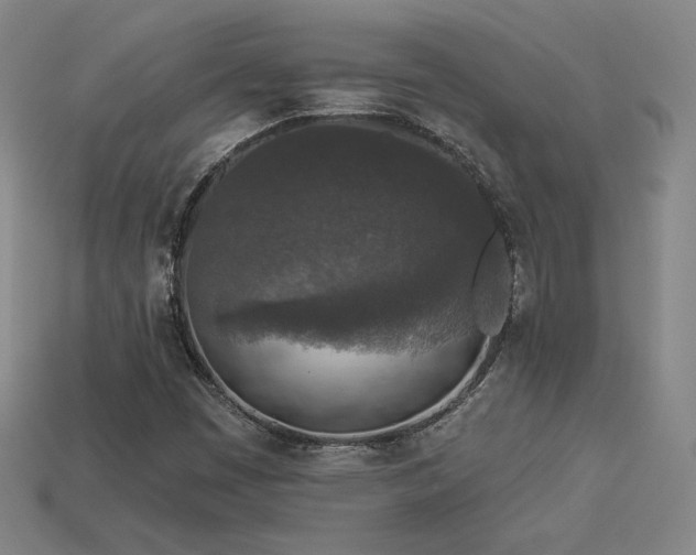 X0000113941449200909251230