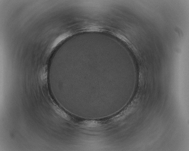 X0000113941450200909251230