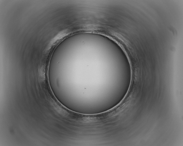 X0000113941451200909251230