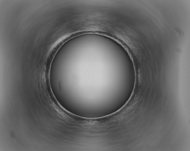 X0000113941452200909251230