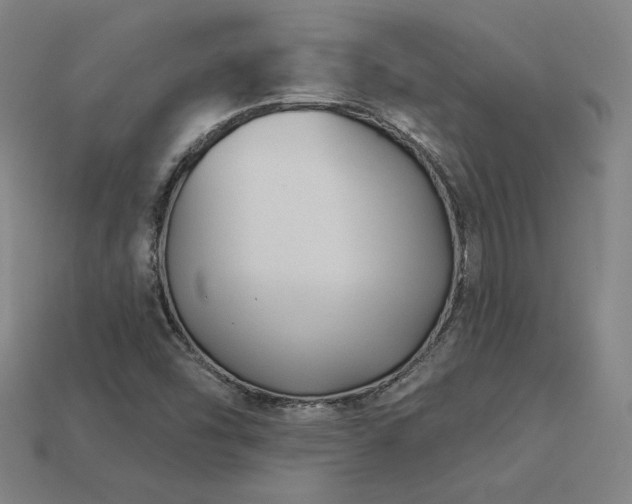 X0000113941454200909251230