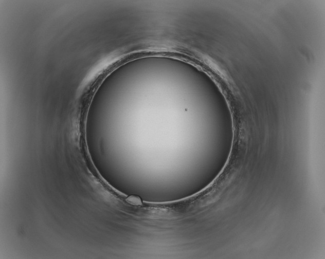 X0000113941456200909251230