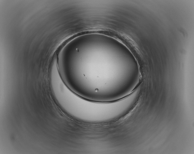 X0000113941457200909251230