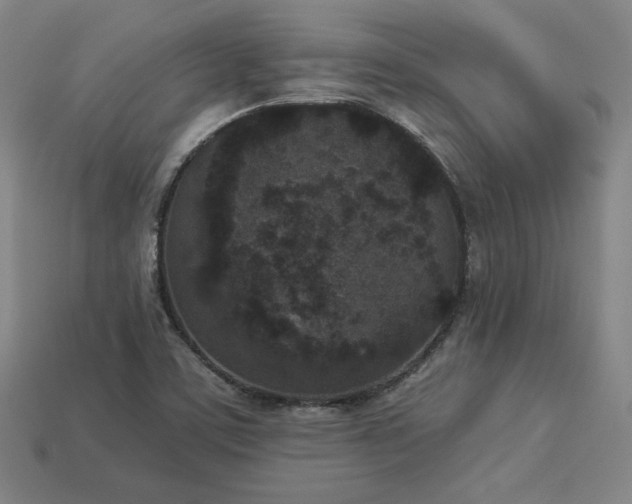 X0000113941459200909251230