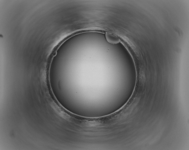 X0000113941460200909251230