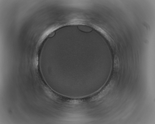 X0000113941461200909251230