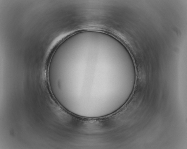 X0000113941462200909251230