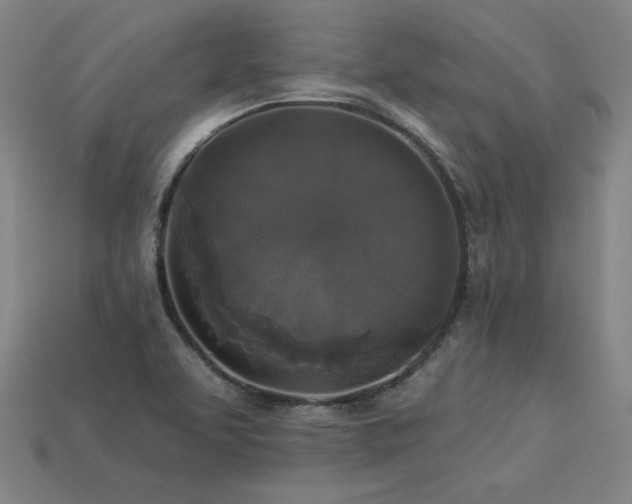 X0000113941463200909251230