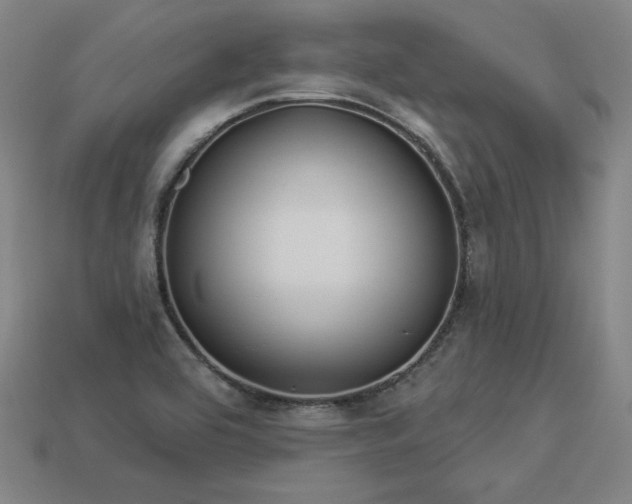X0000113941464200909251230