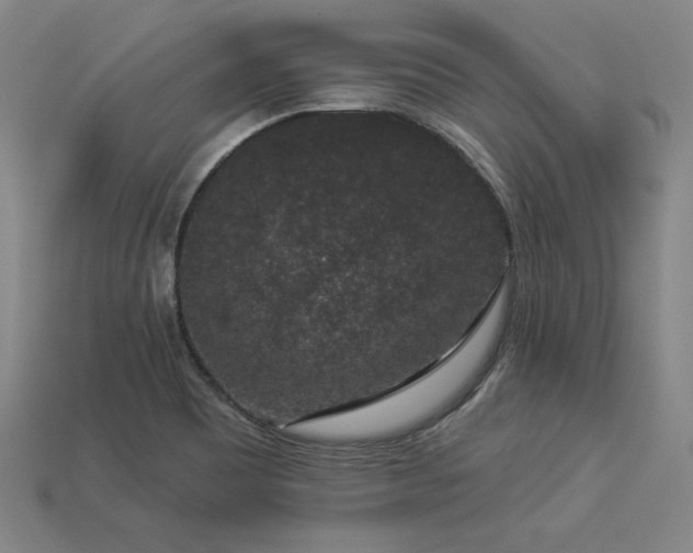 X0000113941465200909251230