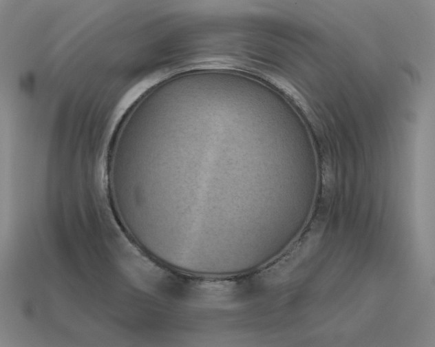 X0000113941466200909251230