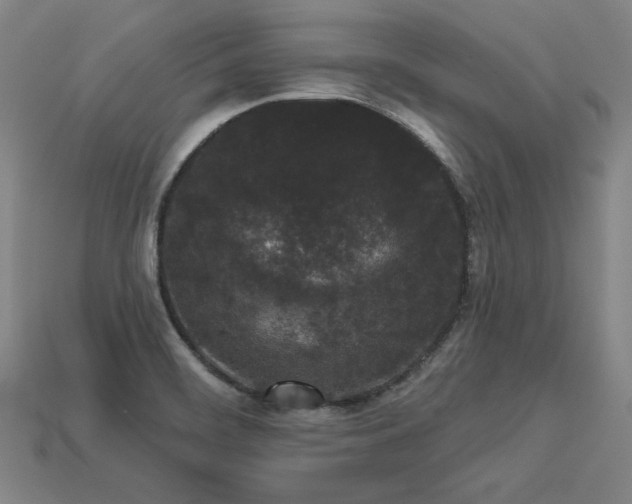X0000113941468200909251230