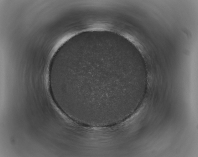 X0000113941469200909251230