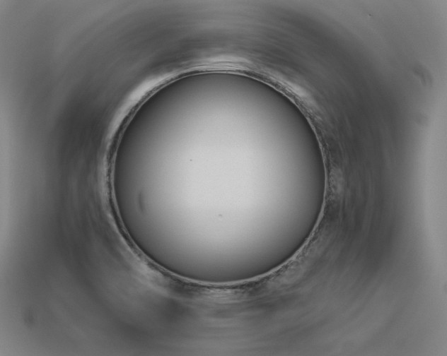 X0000113941470200909251230
