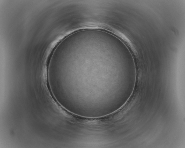 X0000113941472200909251230