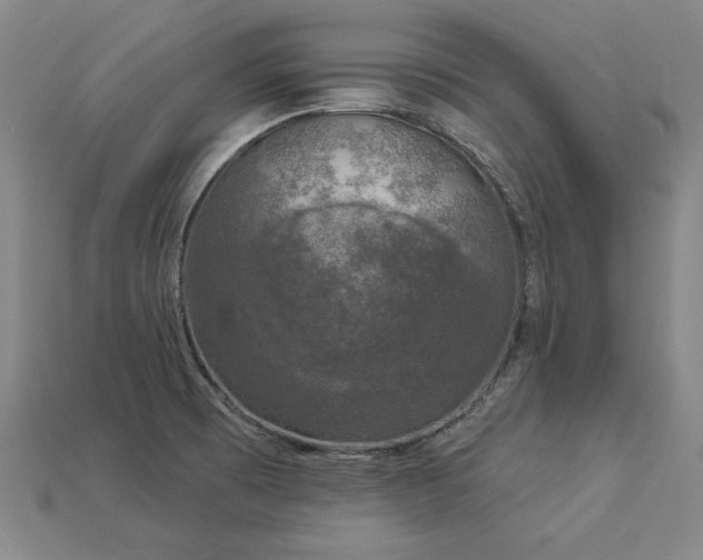 X0000113941473200909251230