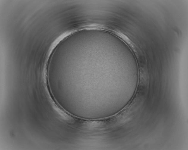 X0000113941474200909251230