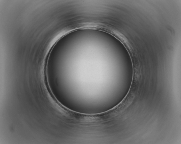 X0000113941475200909251230