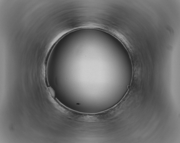 X0000113941476200909251230
