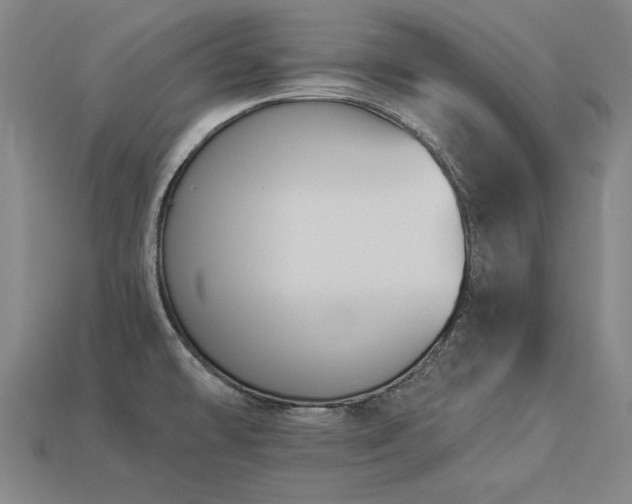 X0000113941478200909251230