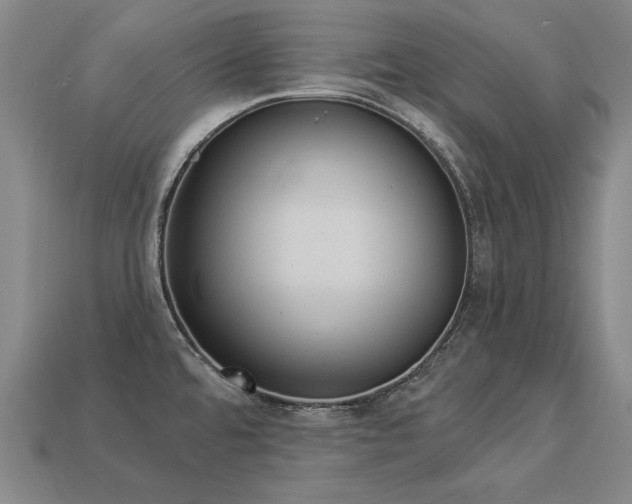 X0000113941480200909251230