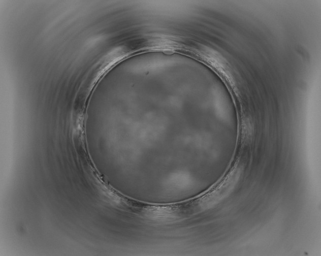 X0000113941481200909251230