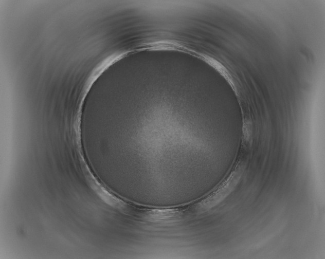 X0000113941482200909251230