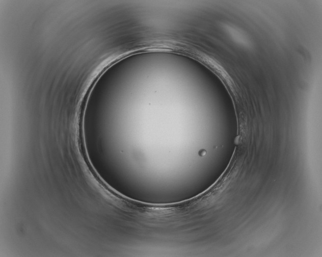 X0000113941483200909251230