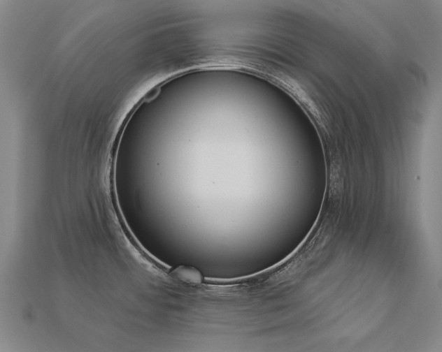 X0000113941484200909251230
