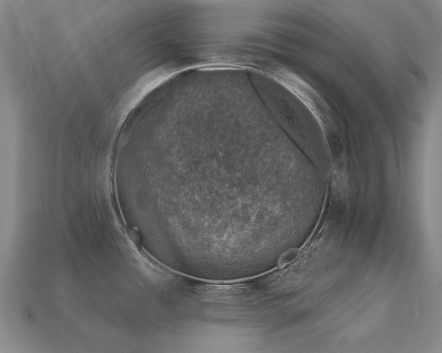 X0000113941485200909251230