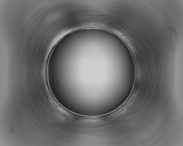 X0000113941486200909251230