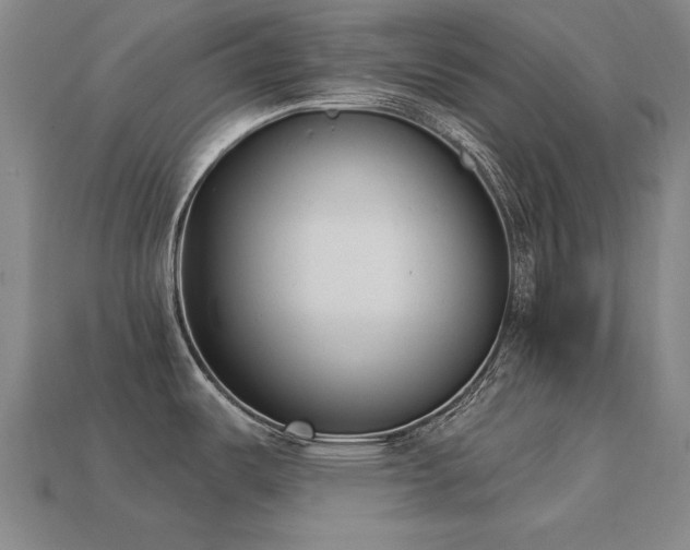 X0000113941487200909251230
