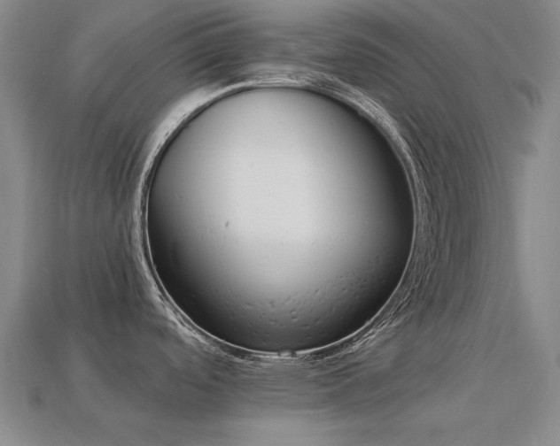X0000113941488200909251230