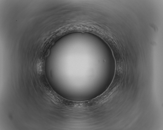 X0000113941490200909251229