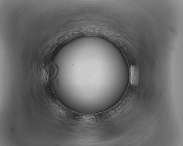 X0000113941491200909251229