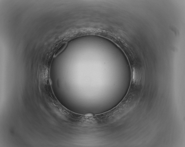 X0000113941492200909251229