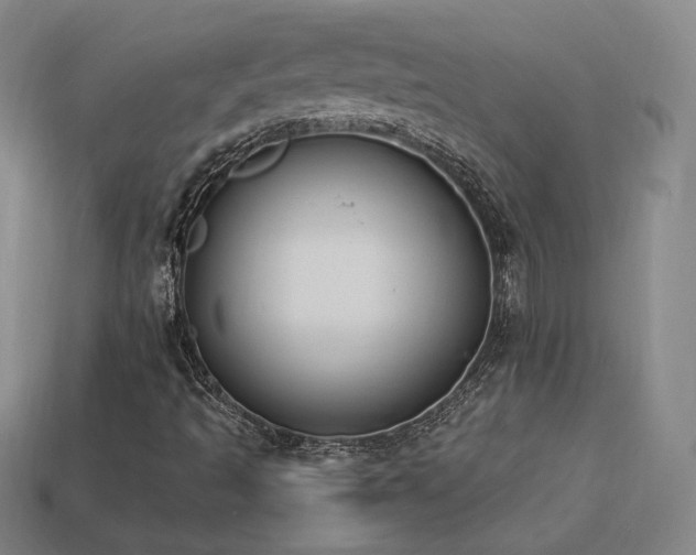 X0000113941493200909251229