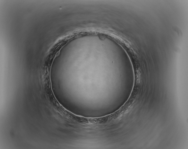 X0000113941494200909251229