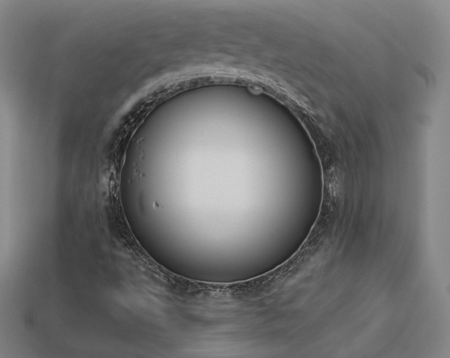 X0000113941495200909251229
