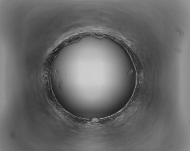 X0000113941496200909251229