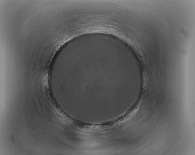 X0000113941497200909251229