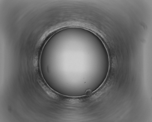 X0000113941499200909251229