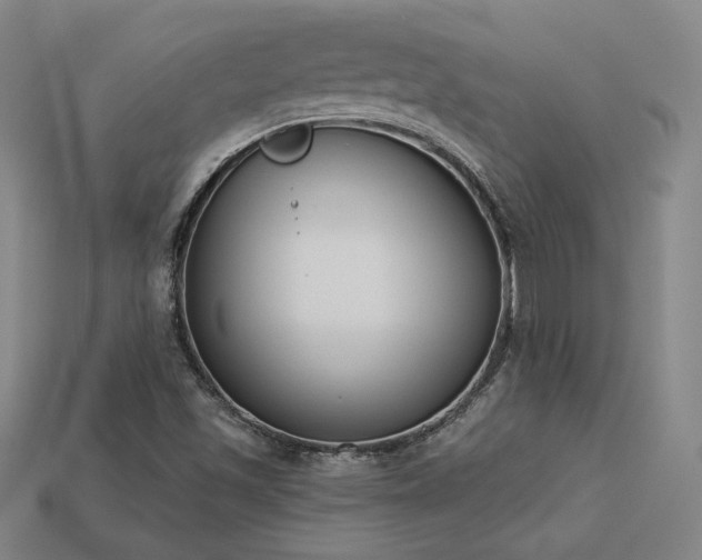 X0000113941501200909251229